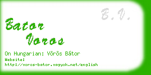 bator voros business card